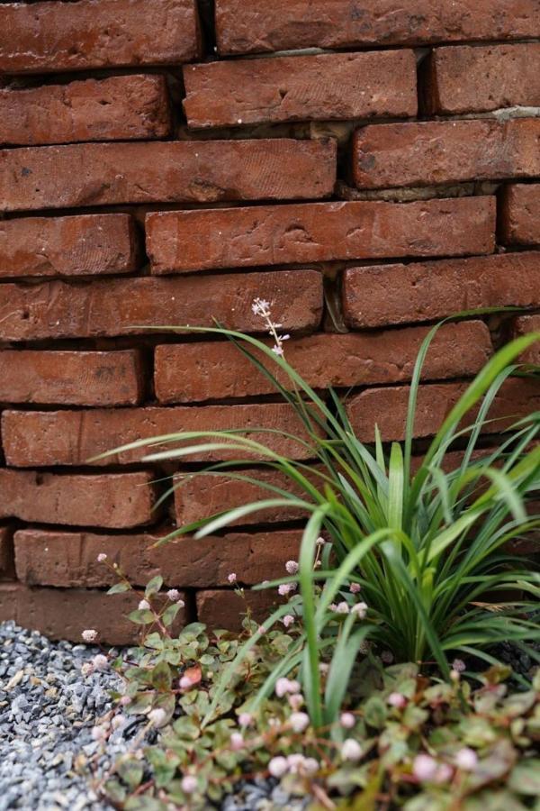 Bloomin' Moon Hostel & Cafe, Chiang Mai Old Town Экстерьер фото